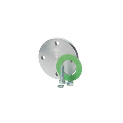 Sistema de control de automatización PLC BPZ Z155/50 Flange de blanqueo con placa ciega de puerto B